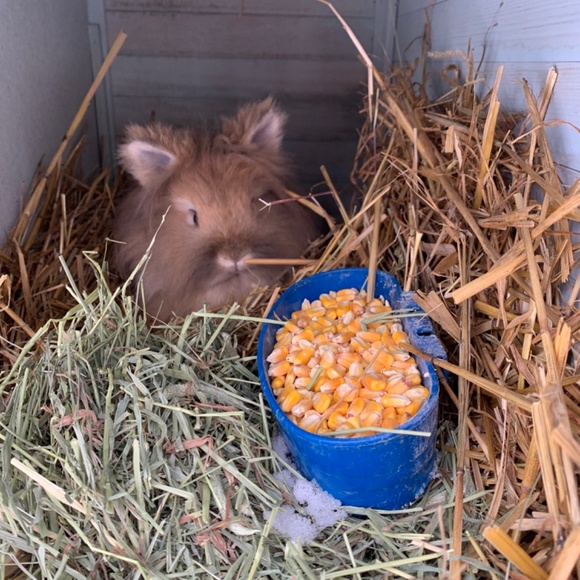 Meet your Posher, Sarah - Picture 2 of 2